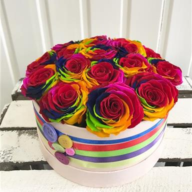 One Year Rainbow Roses