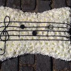 Musical Notes Pillow