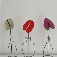 Silhouette Vases 