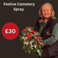 Festive Cemetery Spray 