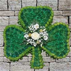 Shamrock