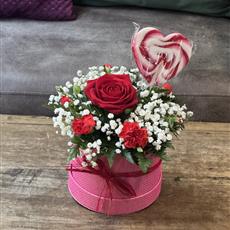 A CANDY KISS (kids limited edition)