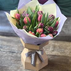 20 Tulips Hand Tied 