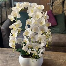 EXTRA LARGE ARTIFICAIL PHALANOPSIS ORCHID