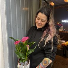 CALLA LILY PLANT IN CERAMIC POT