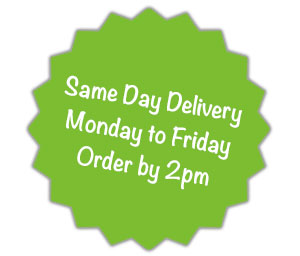 Same Day Delivery